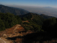 Canon PowerShot G3, 2006:12:29 17:50:41 -- 1/2000 sec, f/8.0.  No Flash, Compulsory.2272x1704 Off.