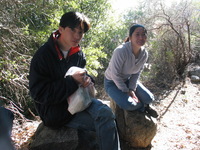 Canon PowerShot G3, 2006:12:29 18:18:00 -- 1/60 sec, f/4.0.  No Flash, Auto.2272x1704 Red-Eye Reduction (Auto).