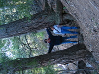 Canon PowerShot G3, 2006:12:29 18:32:02 -- 1/30 sec, f/2.2.  No Flash, Compulsory.2272x1704 Off.