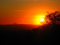 Canon PowerShot G3, 2006:12:29 20:47:39 -- 1/2000 sec, f/8.0.  No Flash, Compulsory.2272x1704 Off.