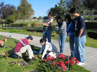 Canon PowerShot G3, 2007:01:01 18:08:11 -- 1/640 sec, f/4.0.  No Flash, Auto.2272x1704 Red-Eye Reduction (Auto).