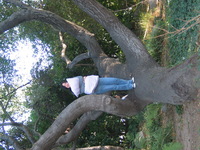 Canon PowerShot G3, 2007:01:01 18:40:38 -- 1/60 sec, f/2.5.  Flash, Auto, Red-Eye Reduce.2272x1704 Red-Eye Reduction (Auto).