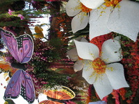 Canon PowerShot G3, 2007:01:01 19:12:42 -- 1/200 sec, f/4.0.  No Flash, Auto.2272x1704 Red-Eye Reduction (Auto).