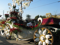 Canon PowerShot G3, 2007:01:01 19:14:31 -- 1/500 sec, f/4.0.  No Flash, Auto.2272x1704 Red-Eye Reduction (Auto).