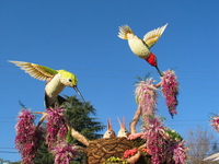 Canon PowerShot G3, 2007:01:01 19:18:12 -- 1/640 sec, f/4.0.  No Flash, Auto.2272x1704 Red-Eye Reduction (Auto).