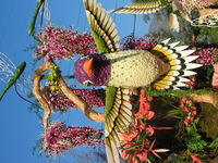 Canon PowerShot G3, 2007:01:01 19:18:22 -- 1/1000 sec, f/4.0.  No Flash, Auto.2272x1704 Red-Eye Reduction (Auto).