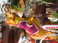 Canon PowerShot G3, 2007:01:01 19:35:08 -- 1/250 sec, f/4.0.  No Flash, Auto.2272x1704 Red-Eye Reduction (Auto).