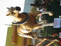 Canon PowerShot G3, 2007:01:01 19:49:45 -- 1/320 sec, f/4.0.  No Flash, Auto.2272x1704 Red-Eye Reduction (Auto).