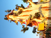 Canon PowerShot G3, 2007:01:01 20:25:13 -- 1/160 sec, f/8.0.  No Flash, Compulsory.2272x1704 Off.