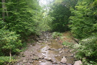 Canon EOS DIGITAL REBEL, 2007:09:08 08:15:28 -- 1/40 sec, f/4.0.  No Flash.3072x2048 Off.