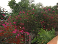 Canon PowerShot A710 IS, 2007:12:24 17:15:17 -- 1/60 sec, f/2.8.  Flash, Auto, Red-Eye Reduce.3072x2304 Red-Eye Reduction (Auto).