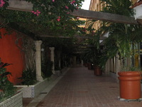 Canon PowerShot A710 IS, 2007:12:24 17:18:03 -- 1/60 sec, f/2.8.  Flash, Auto, Red-Eye Reduce.3072x2304 Red-Eye Reduction (Auto).