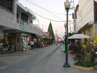 Canon PowerShot A710 IS, 2007:12:24 17:18:32 -- 1/60 sec, f/2.8.  Flash, Auto, Red-Eye Reduce.3072x2304 Red-Eye Reduction (Auto).