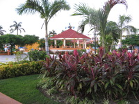 Canon PowerShot A710 IS, 2007:12:24 17:22:51 -- 1/15 sec, f/2.8.  No Flash, Compulsory.3072x2304 Off.