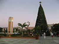 Canon PowerShot A710 IS, 2007:12:24 17:23:31 -- 1/50 sec, f/2.8.  No Flash, Compulsory.3072x2304 Off.