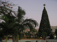 Canon PowerShot A710 IS, 2007:12:24 17:24:47 -- 1/60 sec, f/3.2.  No Flash, Compulsory.3072x2304 Off.