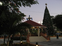 Canon PowerShot A710 IS, 2007:12:24 17:25:30 -- 1/60 sec, f/3.2.  No Flash, Compulsory.3072x2304 Off.