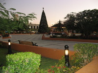 Canon PowerShot A710 IS, 2007:12:24 17:26:38 -- 1/60 sec, f/2.8.  Flash, Auto, Red-Eye Reduce.3072x2304 Red-Eye Reduction (Auto).