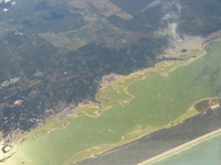 Canon PowerShot A710 IS, 2008:12:24 11:00:59 -- 1/400 sec, f/4.0.  No Flash, Auto.3072x2304 Red-Eye Reduction (Auto).