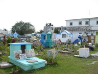 Canon PowerShot A710 IS, 2007:12:26 11:35:11 -- 1/320 sec, f/4.0.  No Flash, Auto.3072x2304 Red-Eye Reduction (Auto).