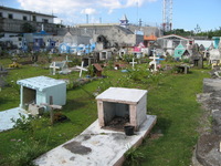 Canon PowerShot A710 IS, 2007:12:26 11:35:17 -- 1/500 sec, f/4.0.  No Flash, Auto.3072x2304 Red-Eye Reduction (Auto).