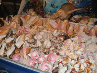 Canon PowerShot A710 IS, 2007:12:26 17:11:28 -- 1/60 sec, f/2.8.  Flash, Auto, Red-Eye Reduce.3072x2304 Red-Eye Reduction (Auto).