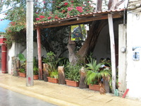 Canon PowerShot A710 IS, 2007:12:30 12:00:18 -- 1/125 sec, f/4.0.  Flash, Auto, Red-Eye Reduce.3072x2304 Red-Eye Reduction (Auto).