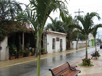 Canon PowerShot A710 IS, 2007:12:30 12:00:36 -- 1/400 sec, f/4.0.  No Flash, Auto.3072x2304 Red-Eye Reduction (Auto).