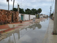 Canon PowerShot A710 IS, 2007:12:30 11:00:03 -- 1/800 sec, f/4.0.  No Flash, Auto.3072x2304 Red-Eye Reduction (Auto).