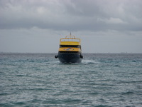 Canon PowerShot A710 IS, 2007:12:30 13:43:47 -- 1/640 sec, f/4.8.  No Flash, Auto.3072x2304 Red-Eye Reduction (Auto).