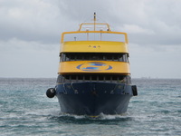 Canon PowerShot A710 IS, 2007:12:30 13:44:20 -- 1/400 sec, f/4.8.  No Flash, Auto.3072x2304 Red-Eye Reduction (Auto).