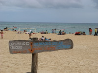 Canon PowerShot A710 IS, 2007:12:30 14:10:57 -- 1/640 sec, f/4.0.  No Flash, Auto.3072x2304 Red-Eye Reduction (Auto).