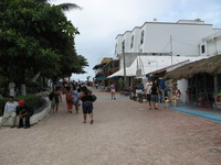 Canon PowerShot A710 IS, 2007:12:30 14:11:45 -- 1/640 sec, f/4.0.  No Flash, Auto.3072x2304 Red-Eye Reduction (Auto).