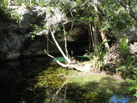 Canon PowerShot A710 IS, 2007:12:31 14:00:06 -- 1/100 sec, f/4.0.  No Flash, Auto.3072x2304 Red-Eye Reduction (Auto).