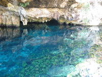 Canon PowerShot A710 IS, 2007:12:31 14:01:05 -- 1/13 sec, f/2.8.  No Flash, Compulsory.3072x2304 Off.