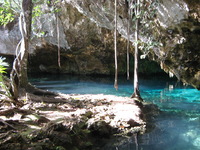 Canon PowerShot A710 IS, 2007:12:31 14:20:52 -- 1/60 sec, f/2.8.  No Flash, Compulsory.3072x2304 Off.