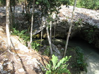 Canon PowerShot A710 IS, 2007:12:31 14:23:51 -- 1/80 sec, f/4.0.  No Flash, Compulsory.3072x2304 Off.