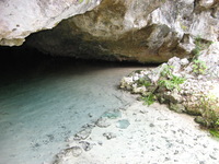 Canon PowerShot A710 IS, 2007:12:31 14:25:04 -- 1/60 sec, f/2.8.  Flash, Auto, Red-Eye Reduce.3072x2304 Red-Eye Reduction (Auto).