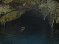 Canon PowerShot A710 IS, 2007:12:31 15:00:46 -- 1/60 sec, f/3.5.  Flash, Auto, Red-Eye Reduce.3072x2304 Red-Eye Reduction (Auto).