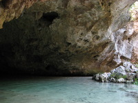 Canon PowerShot A710 IS, 2007:12:31 15:45:18 -- 1/20 sec, f/2.8.  No Flash, Compulsory.3072x2304 Off.