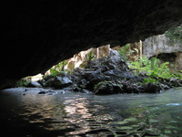 Canon PowerShot A710 IS, 2007:12:31 15:48:03 -- 1/60 sec, f/3.2.  No Flash, Compulsory.3072x2304 Off.