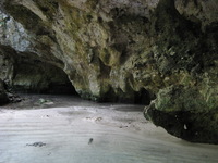 Canon PowerShot A710 IS, 2007:12:31 15:48:53 -- 1/50 sec, f/3.2.  No Flash, Compulsory.3072x2304 Off.