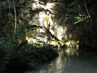 Canon PowerShot A710 IS, 2007:12:31 15:43:11 -- 1/80 sec, f/3.5.  No Flash, Auto.3072x2304 Red-Eye Reduction (Auto).