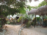 Canon PowerShot A710 IS, 2007:12:31 17:00:20 -- 1/60 sec, f/2.8.  Flash, Auto, Red-Eye Reduce.3072x2304 Red-Eye Reduction (Auto).