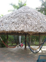 Canon PowerShot A710 IS, 2008:01:02 08:01:12 -- 1/60 sec, f/3.5.  No Flash, Auto.3072x2304 Red-Eye Reduction (Auto).