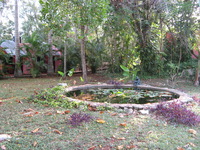 Canon PowerShot A710 IS, 2008:01:02 08:02:11 -- 1/60 sec, f/2.8.  No Flash, Auto.3072x2304 Red-Eye Reduction (Auto).