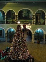 Canon PowerShot A710 IS, 2008:01:03 20:00:36 -- 1/20 sec, f/3.2.  No Flash, Compulsory.3072x2304 Off.