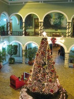 Canon PowerShot A710 IS, 2008:01:03 20:00:50 -- 1/6 sec, f/3.2.  No Flash, Compulsory.3072x2304 Off.