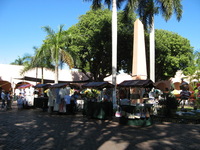 Canon PowerShot A710 IS, 2008:01:06 10:11:49 -- 1/400 sec, f/4.0.  No Flash, Auto.3072x2304 Red-Eye Reduction (Auto).