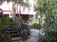 Canon PowerShot A710 IS, 2008:01:07 10:00:43 -- 1/50 sec, f/2.8.  No Flash, Compulsory.3072x2304 Off.